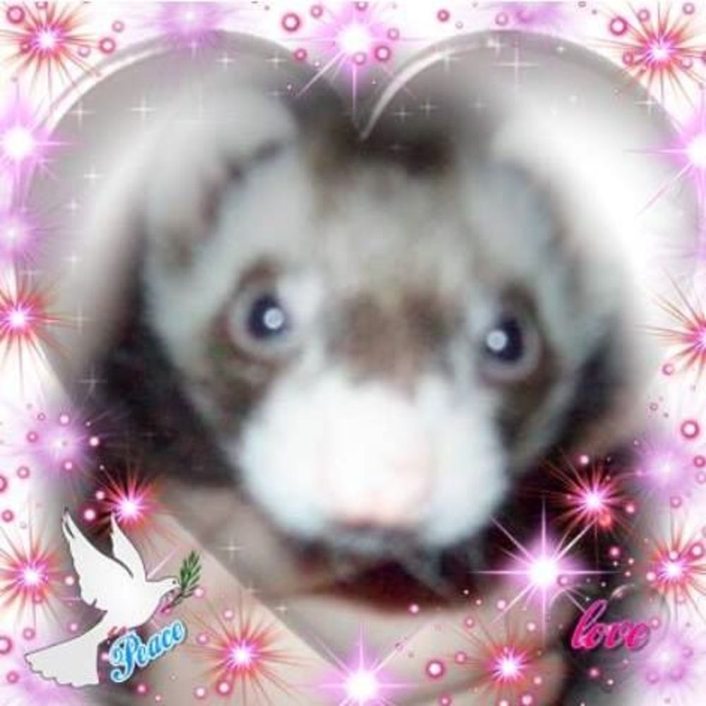 Meet your Posher, Paula